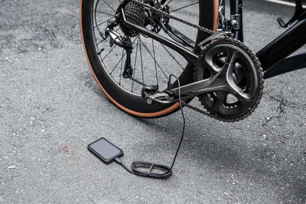 Garmin Rally 110&210