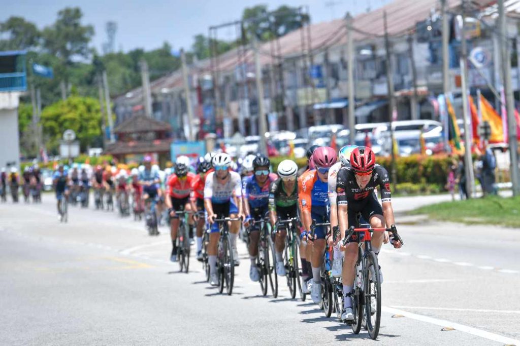 LTdL 2025