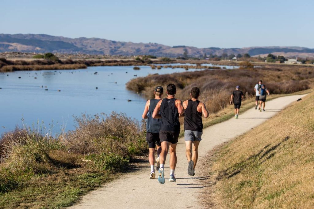 New Zealand Invites Active Escapes