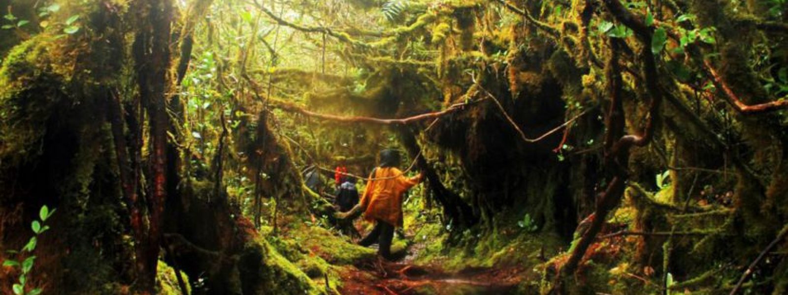 79e08f32fa8a036f84441baab7b7a7ff_L