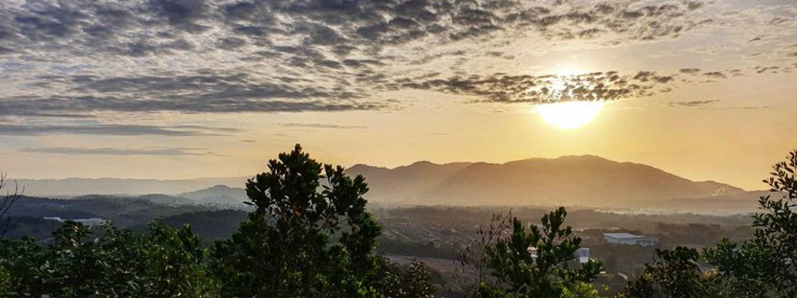 92c3523de61d06eebdc515f2babb64b9_L