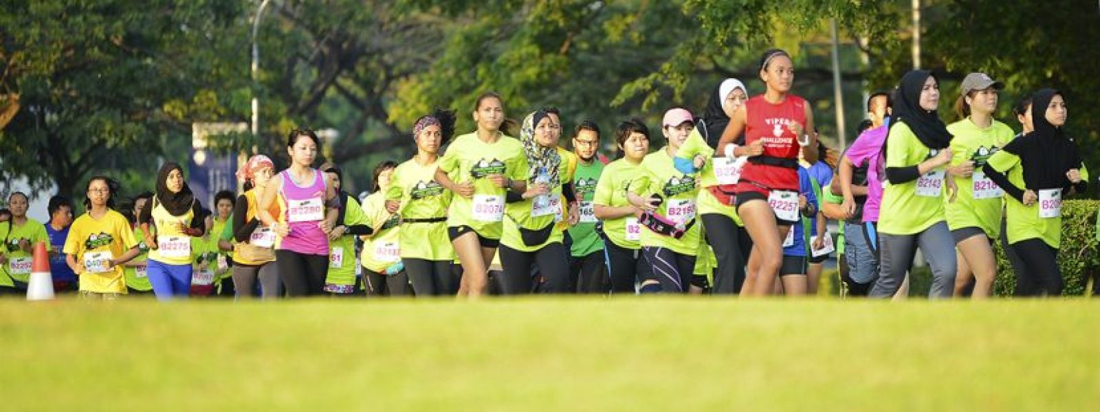 983fb56032c1ac1b726360eae9dd3d18_L