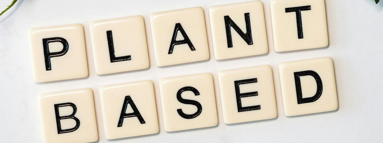 A Guide to the Plant-Powered Athlete