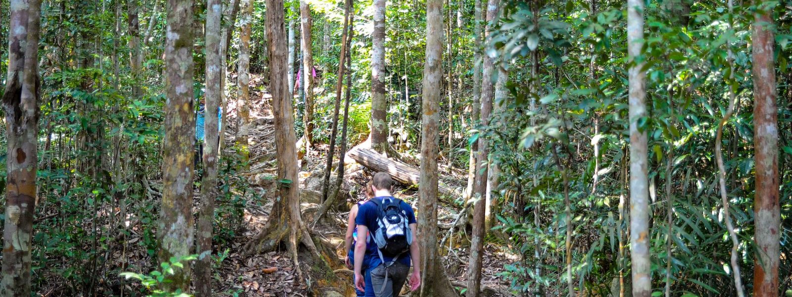 Hiking In Malaysia