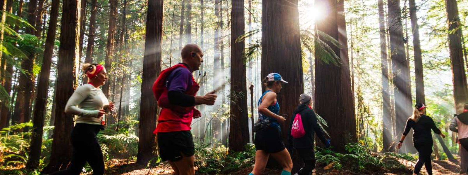 New Zealand Invites Active Escapes