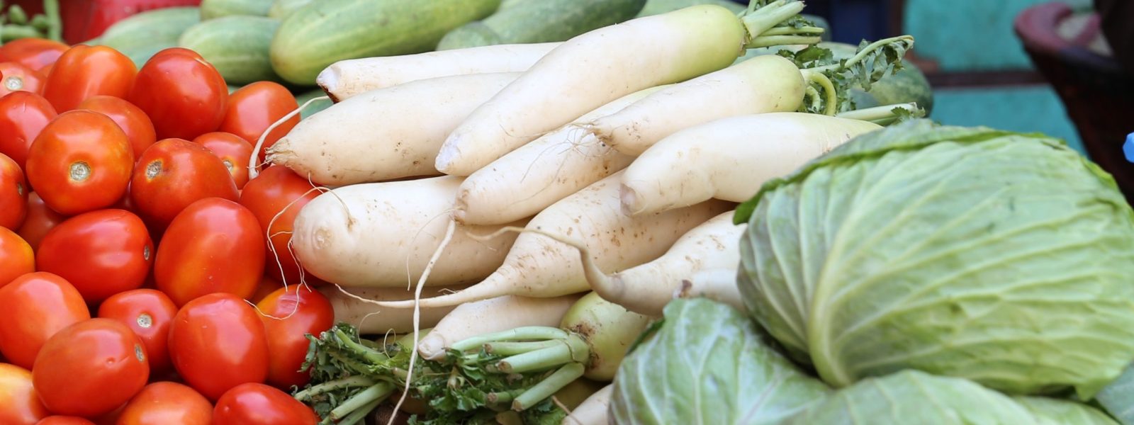 White Radish