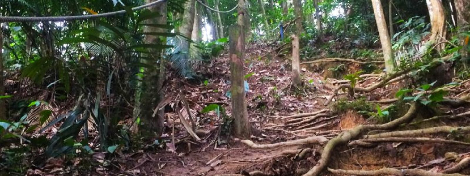 ba0166c7a50d96eb270097f3f911e08a_L