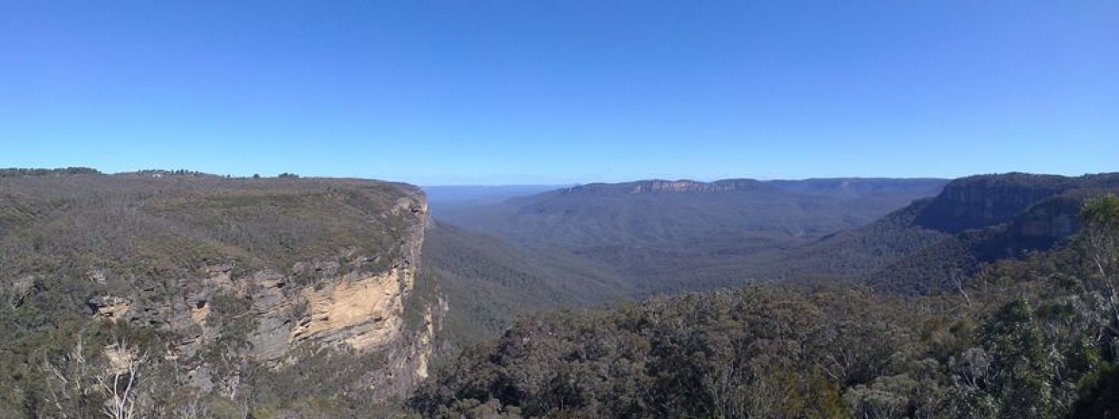 f5ddf7bd97d01d87f4a7985398aea709_L