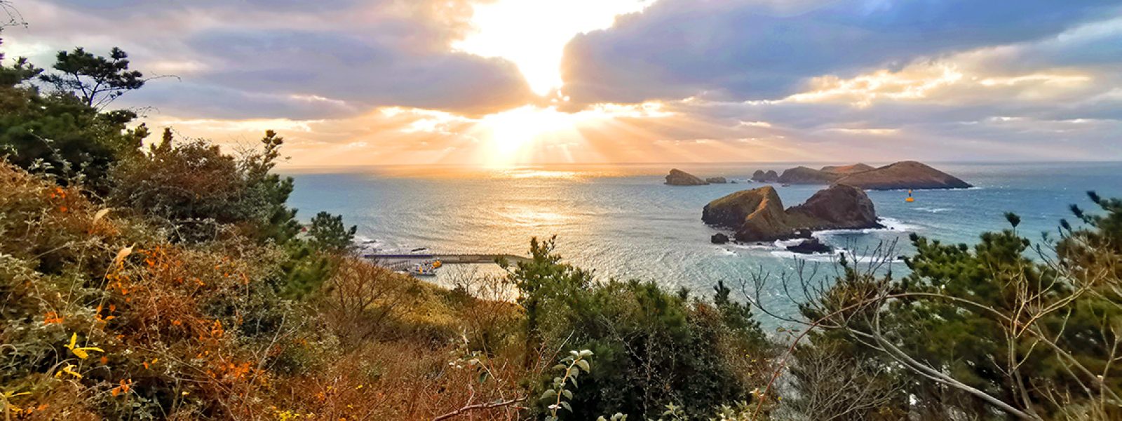 Why You Should Walk Jeju Olle At Least Once?